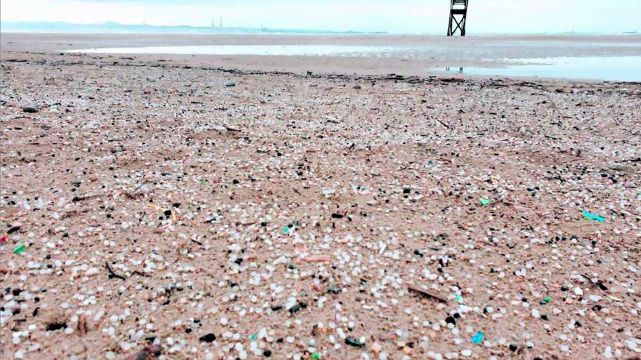 Si bien la problemática afecta a varias playas de la demarcación de Tarragona, la más afectada es la de La Pineda. Foto: Good Karma Projects