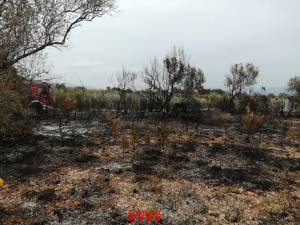 Zona quemada en el incendio de Masdenverge.