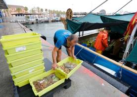 Los pescadores opinan que la propuesta afecta a la ciudadanía en general. foto: pere ferré/DT