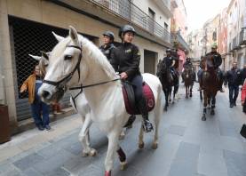 Alguns dels cavalls que van sortir l’any passat durant els Tres Tombs. Foto: Pere Ferré/ DT