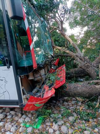 El autobús estampado. Foto: DT