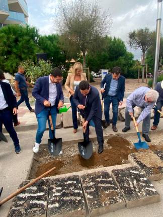 $!El futuro Parc del Port de Tarragona ya tiene el primer árbol