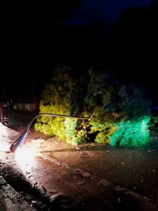 $!La gota fría deja inundaciones y un árbol caído en Roda de Berà