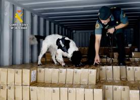 Foto: Guardia Civil