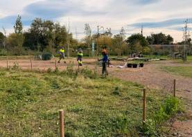 El parc de l’Abeurada és un espai amb un alt valor ecològic. Foto: Ajuntament de Reus