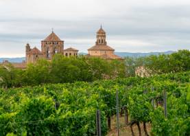 El monasterio de Poblet rodeado de viñas. FOTO: Santi García