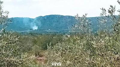 Imagen del incendio de L’Ametlla de Mar declarado a las tres de la tarde. Foto: Bombers de la Generalitat.