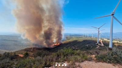 Imagen del incendio forestal en Tortosa, que ha quemado 87,6 hectáreas. Foto: Bombers