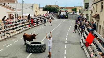 Imagen de una fiesta taurina en Deltebre. Foto: Alba Mariné