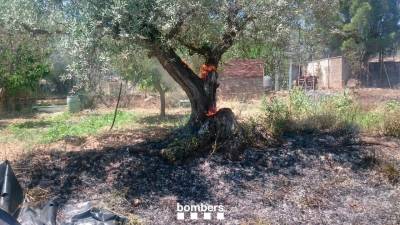 L’incendi de Flix va cremar 1,4 hectàrees de terreny de propietat privada el 8 de juny de l’any 2019. Foto: Bombers de la Generalitat