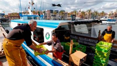 Tarragona cuenta actualmente con 23 embarcaciones del arrastre. Hace diez años había unas cuarenta. Foto: Marc Bosch