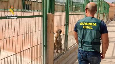 Una vez que tenía en su poder el dinero estafado, volvía a contactar con algunos de los afectados, burlándose de ellos por haber caído en la estafa. Foto: Guardia Civil