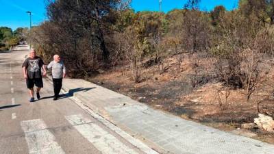 Las llamas quedaron a pocos metros de las casas. Foto: JMB/Dt