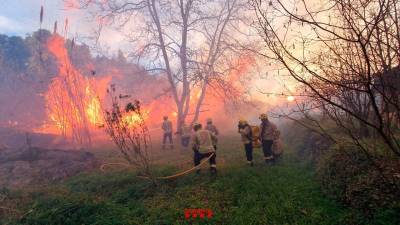 Fotos: Bombers de la Generalitat