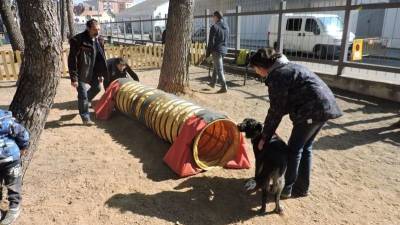 En estas instalaciones hay diferentes elementos para que los perros realicen ejercicios junto a sus dueños. Foto: viladepiera.cat