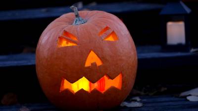 Una calabaza. Foto: EFE