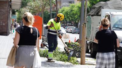 Imagen de un jardinero trabajando ayer en la avenida Ramón y Cajal de Tarragona bajo un sol de justicia. foto: pere ferré