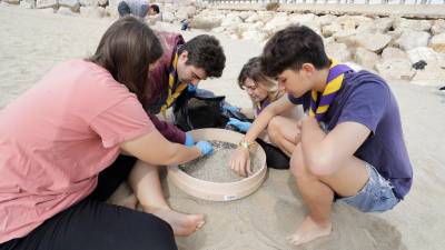 Jóvenes del Esplai Sant Fructuós de Tarragona y diferentes voluntarios de Greenpeace participaron, este sábado, en la jornada de limpieza que tuvo lugar en la playa del Miracle. Foto: Pere Ferré