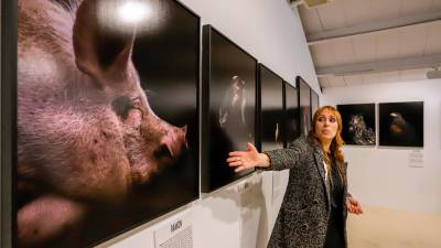 La fotógrafa Estela de Castro junto a algunas de las imágenes de la exposición ‘The Animals’ en Mèdol. FOTO: MARC BOSCH