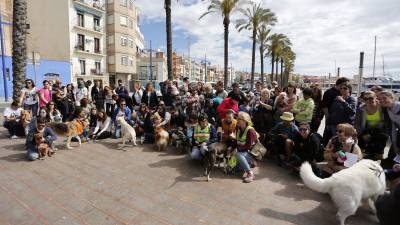 La actividad tuvo como objetivos promocionar la salud y el civismo. Foto: Pere Ferré