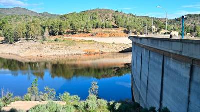 El pantà de Riudecanyes està al 20% de la seva capacitat, però encara és insuficient per afrontar el reg. FOTO: Alfredo González