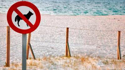 Las playas de El Vendrell no tendrán espacios para perros.