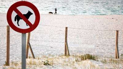 El Vendrell no permitirá la entrada de perros a las playas.
