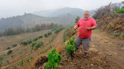 Jordi Aixalà, pagès de Torroja del Priorat, amb les seves vinyes afectades per la sequera, a principis d’estiu. FOTO: Marc Bosch