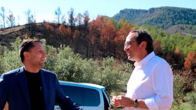 El president del Parlament, Josep Rull, aquest divendres al Priorat. Foto: ACN