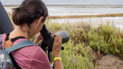 Els participants gaudeixen podent fotografiar de prop la diversitat de fauna que hi ha al delta de l’Ebre. foto: JOAN REVILLAS