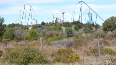 Los terrenos previstos para construir Hard Rock se ecuentran entre PortAventura y la autovía de Tarragona-Salou. FOTO: ALBA MARINÉ