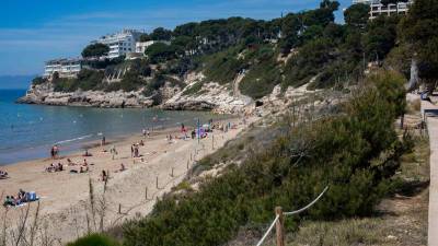 La Platja Llarga de Salou cuenta con una gran cantidad de especies exóticas invasoras. Foto: Angel Ullate