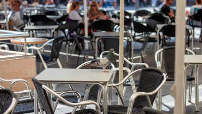 Las terrazas de la Plaça Corsini –y de otros puntos– se llenan de palomas. Foto: Marc Bosch