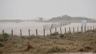 La DANA está provocando graves consecuencias en las Terres de l’Ebre. Foto: Joan Revillas