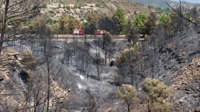 El foc de la Pobla de Massaluca tenia un potencial per cremar 1.200 hectàrees. Foto: Joan Revillas