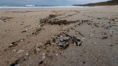 Voluntarios, asociaciones de ecologistas y los propios municipios afectados llevan días organizándose para limpiar las playas gallegas afectadas por el vertido de millones de pellets de plásticos tras la pérdida de hasta seis contenedores por parte del buque Tuconao en aguas portuguesas. Los micro plásticos llegan a la playa de Doniños en Ferrol. Foto: EFE