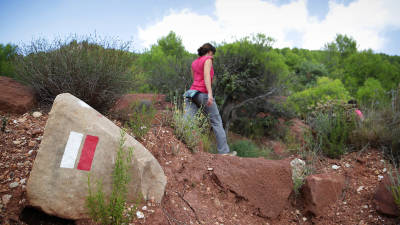 Els participants descobriran l’entorn de Montsant. Foto: patrimoni.gencat