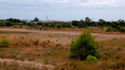 Los terrenos del plan parcial de Els Comallarets, en Mont-roig, donde debe levantarse la empresa surcoreana. FOTO: ACN