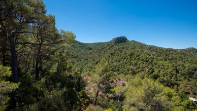 Els fets van tenir lloc a la Serra de Cardó, dins el terme de Tortosa. FOTO: Joan Revillas