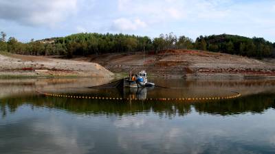 Operaris retirant peixos al pantà de Riudecanyes. Foto: ACN