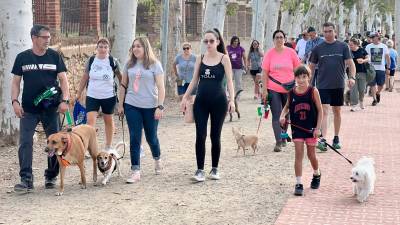 Es farà una caminada pel passeig de la Boca de la Mina. Foto: Alfredo González