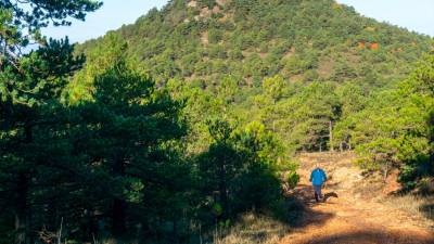 Vista de la colina del Puig de Gallicant. Foto: S. García