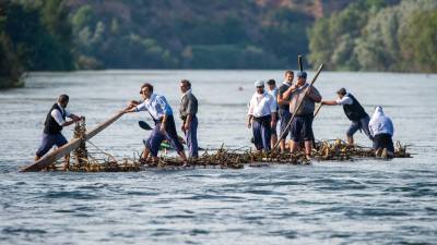 Sirgadors, raiers i muletes rememoraran la tradició fluvial a Móra d’Ebre durant la 121a edició de l’esperada Festa del Riu. Foto: J: Revillas