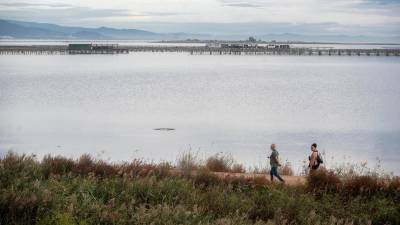 Panoràmica de la badia del Fangar, al delta de l’Ebre. Foto: Joan Revillas