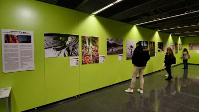 Hasta finales de mes, la muestra se puede visitar en el Campus Terres de l’Ebre de la URV. Foto: Joan Revillas