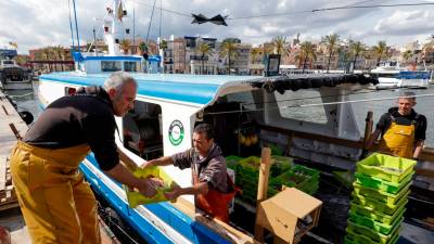 Los pescadores llevan años haciendo esfuerzos para que la mar se regenere. Foto: Marc Bosch