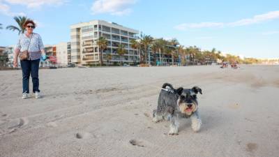 El tramo de playa canina será entre las calles Barenys y A. Foto: Alba Mariné