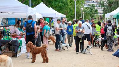 Un total de 15 entidades animalistas se dieron a conocer en la Fira Pet Friendly de Salou. foto: Alba Mariné