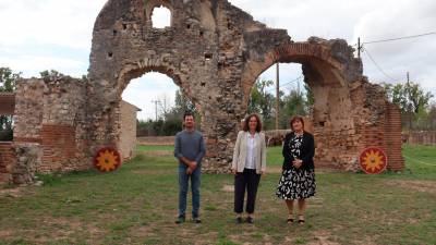 Los impulsores del evento son el Museu Nacional Arqueològic de Tarragona (MNAT) y la asociación Septimani Seniores. Foto: ACN