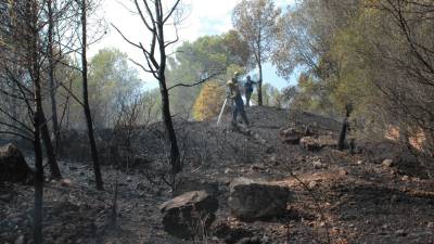 Desde principios se año ha habido decenas de incendios forestales. Foto: Àngel Juanpere